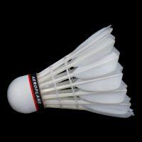 Aeroplane-Badminton-Shuttlecock3
